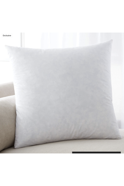 22" x 22" Pillow Insert (6)